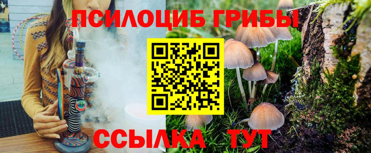 Псилоцибиновые грибы прущие грибы Изобильный