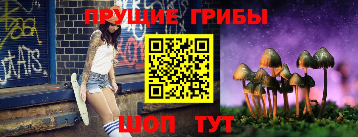наркошоп  Вход с VPN  Изобильный  Псилоцибиновые грибы Cubensis 